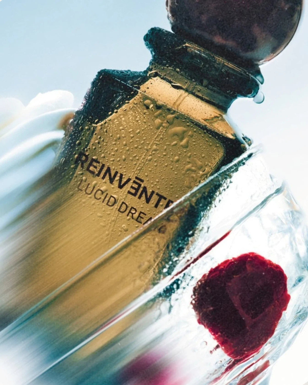 Reinvented Lucid Dream Extrait de Parfum (75ml) - FragranceGems